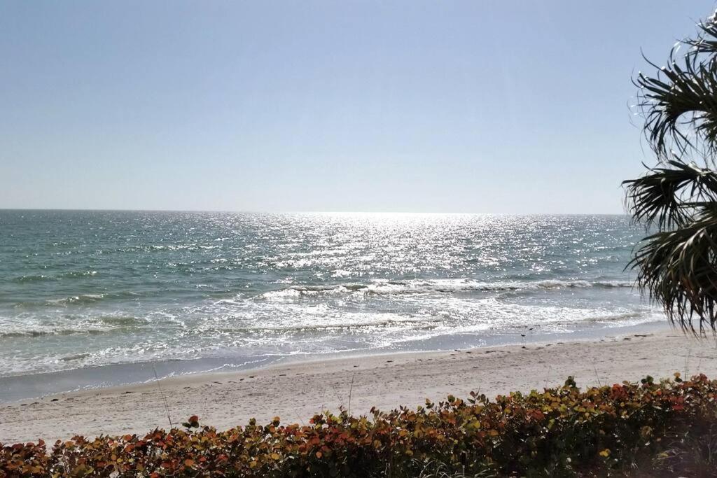 Irb Surf House Waterfront Oasis+ Sunshine +Fun Kayaks Villa Clearwater Beach Exterior foto