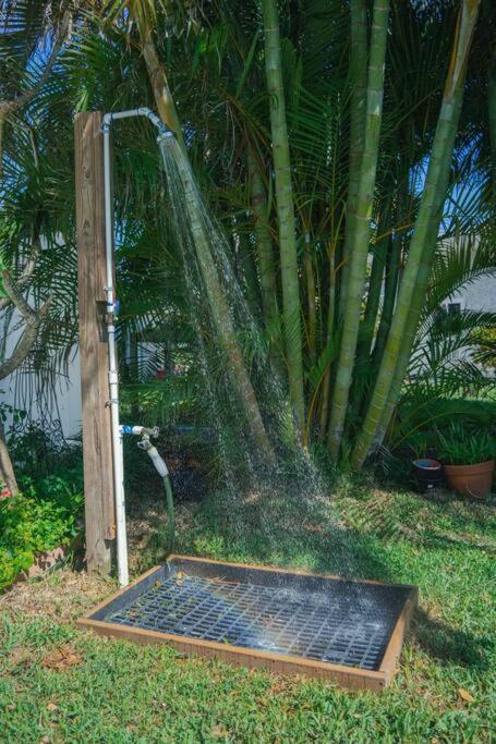 Irb Surf House Waterfront Oasis+ Sunshine +Fun Kayaks Villa Clearwater Beach Exterior foto