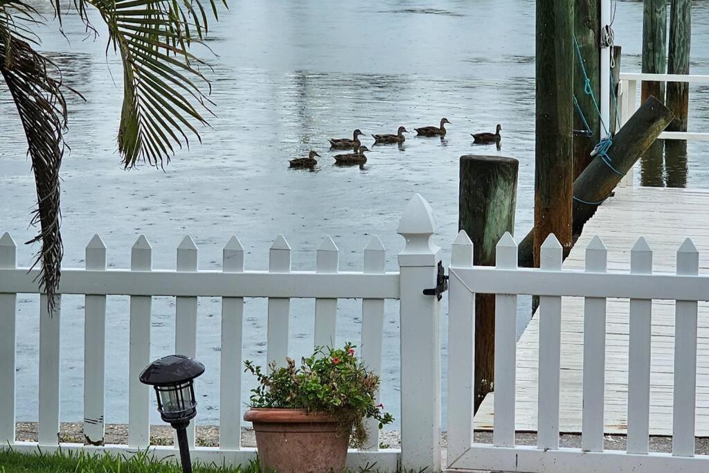 Irb Surf House Waterfront Oasis+ Sunshine +Fun Kayaks Villa Clearwater Beach Exterior foto
